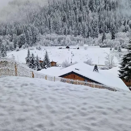 Lejlighed 6 Personnes Avec Jardin Châtel
