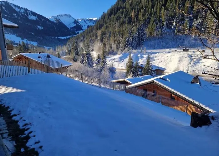 Apartament 6 Personnes Avec Jardin Châtel